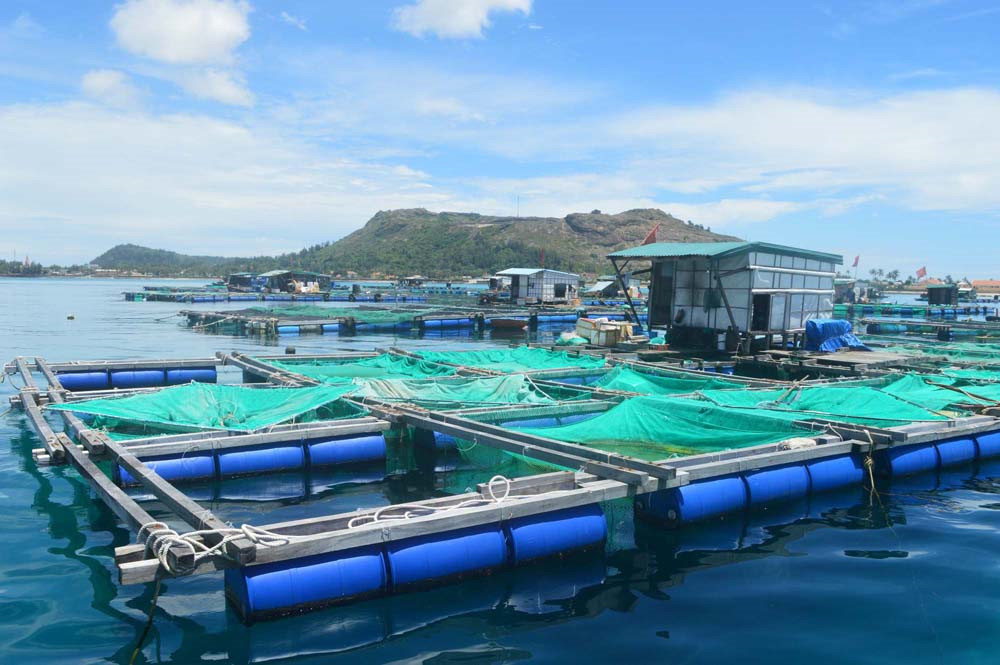 aquaculture-netting-shrimp