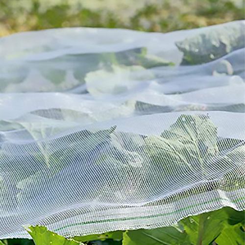 Anti-Insect Netting Friendly Protecting Plants | AGRONEW