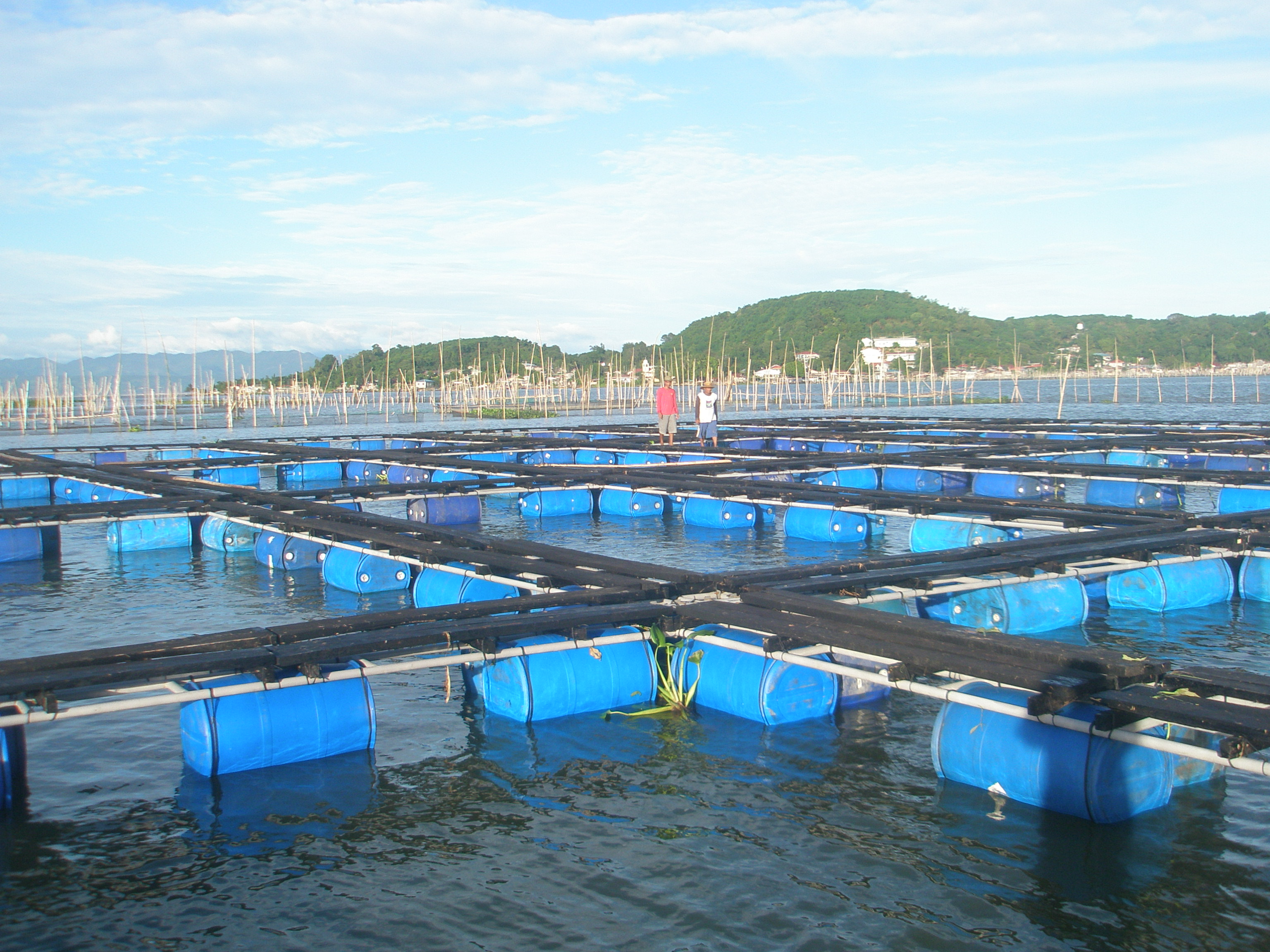 Aquaculture Netting, Fish cage netting | AGRINA